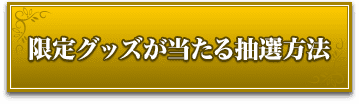 限定グッズがあたる抽選方法